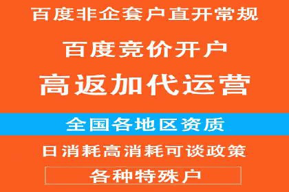 创新营销手段：百度包年竞价的未来趋势